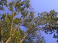 WP_20160806_18_10_39_Pro.jpg